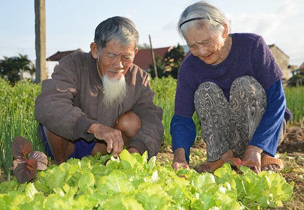 Green House Homestay Hội An Ngoại thất bức ảnh