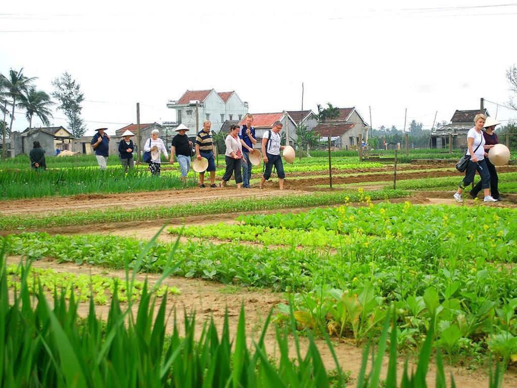 Green House Homestay Hội An Ngoại thất bức ảnh