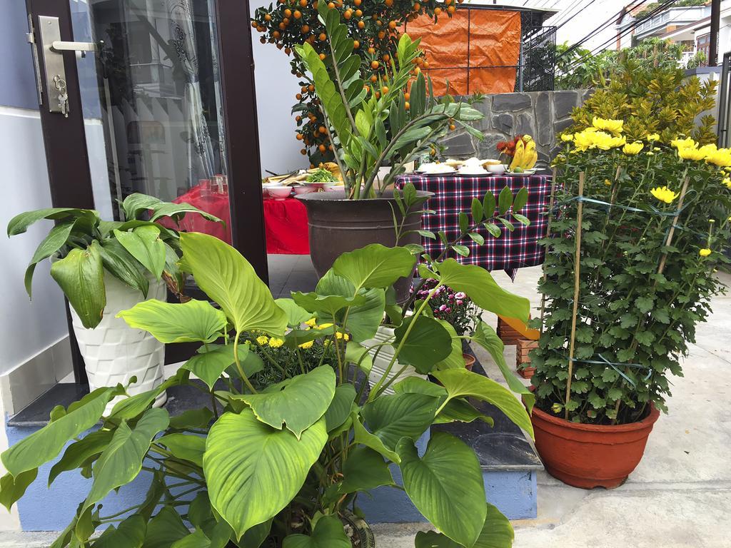 Green House Homestay Hội An Ngoại thất bức ảnh