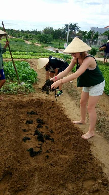 Green House Homestay Hội An Ngoại thất bức ảnh